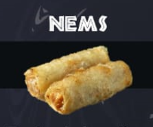 NEMS x2